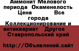 Аммонит Мелового периода. Окаменелость. › Цена ­ 2 800 - Все города Коллекционирование и антиквариат » Другое   . Ставропольский край